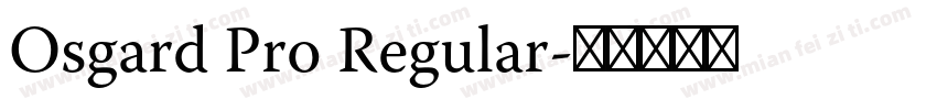 Osgard Pro Regular字体转换